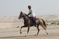 0902PCup_400