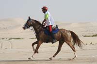 0902PCup_401