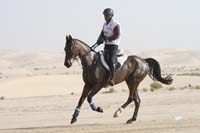 0902PCup_406