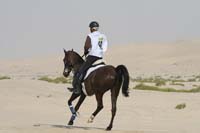 0902PCup_407