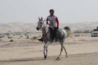 0902PCup_408
