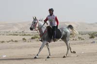 0902PCup_409