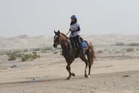0902PCup_412