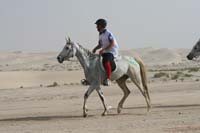 0902PCup_414