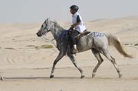 0902PCup_416