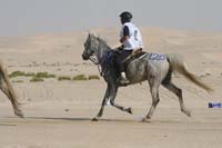 0902PCup_417