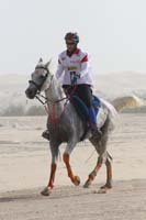 0902PCup_419