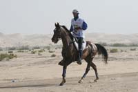 0902PCup_426