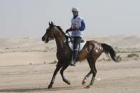 0902PCup_427