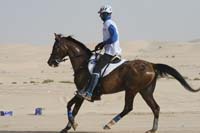 0902PCup_428