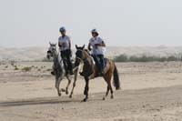 0902PCup_429