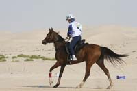 0902PCup_432
