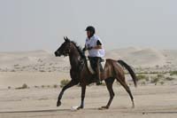 0902PCup_433