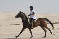 0902PCup_434