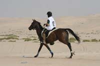 0902PCup_436
