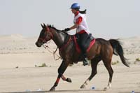 0902PCup_437