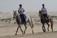0902PCup_442