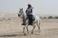 0902PCup_448