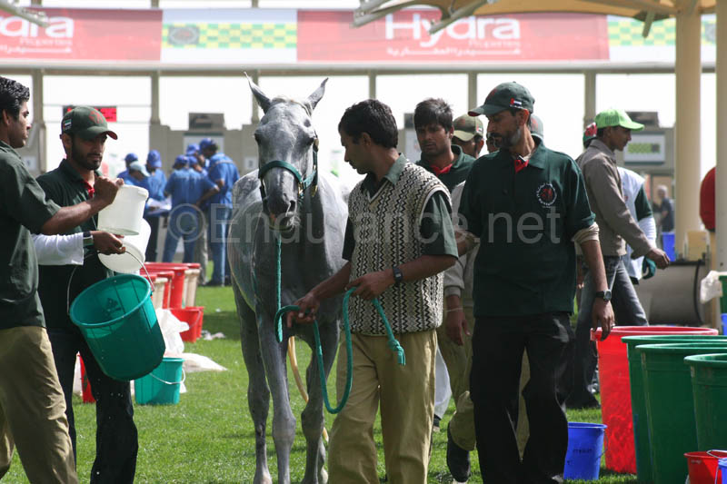 0902PCup_463