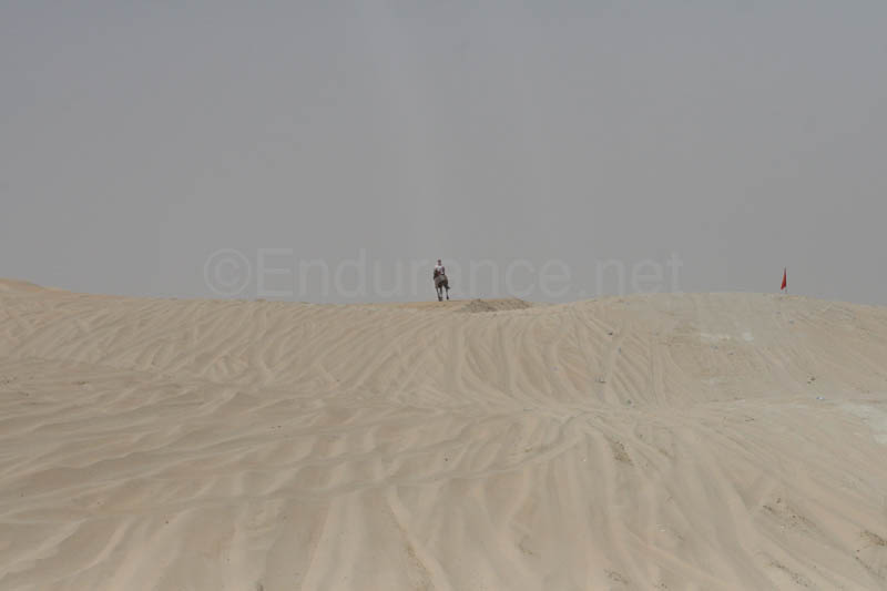 0902PCup_488