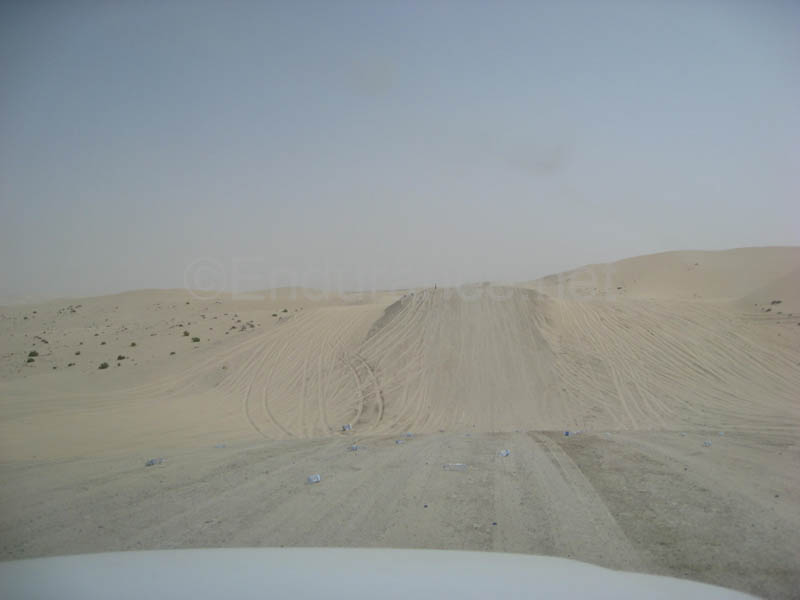 0902PCup_490C