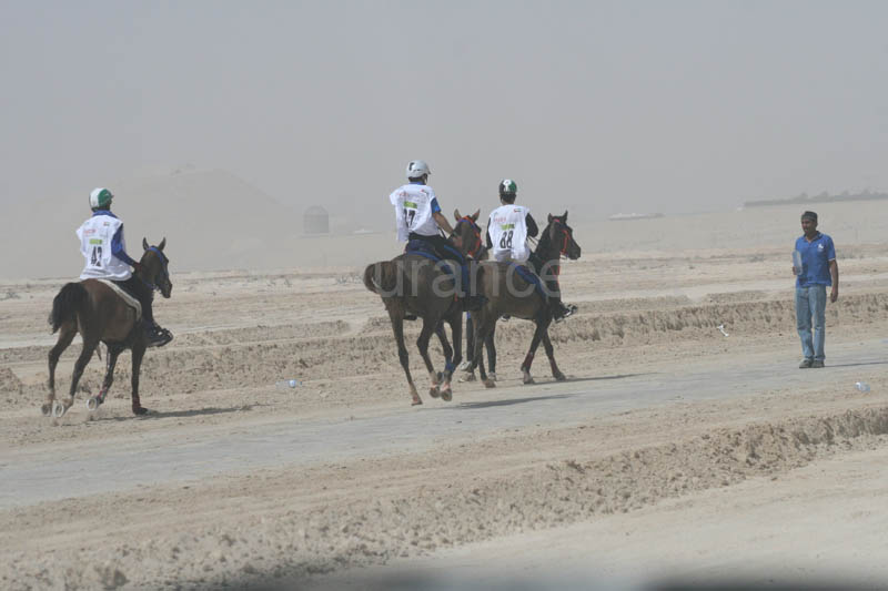 0902PCup_492