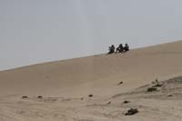 0902PCup_468