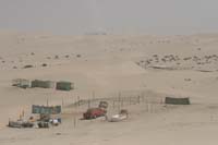 0902PCup_483