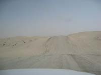 0902PCup_490C