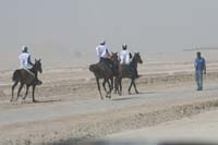 0902PCup_492