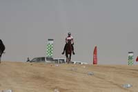 0902PCup_493