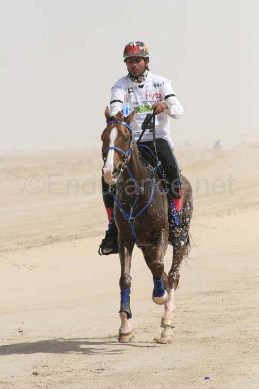 0902PCup_515