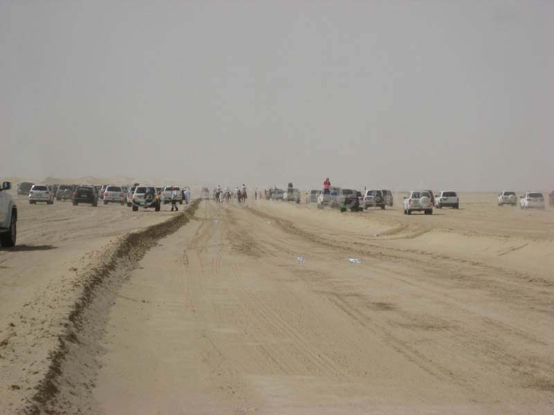 0902PCup_515B