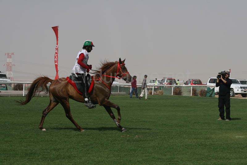0902PCup_533