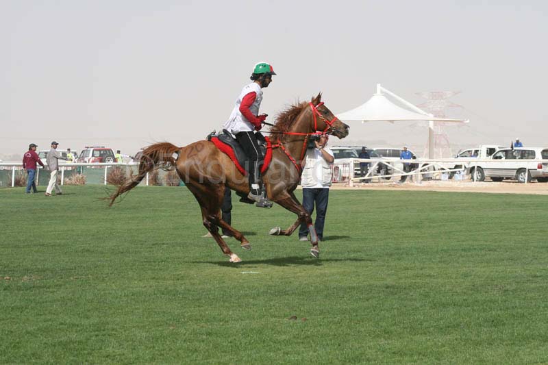 0902PCup_534