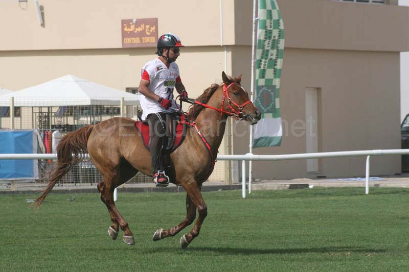 0902PCup_536