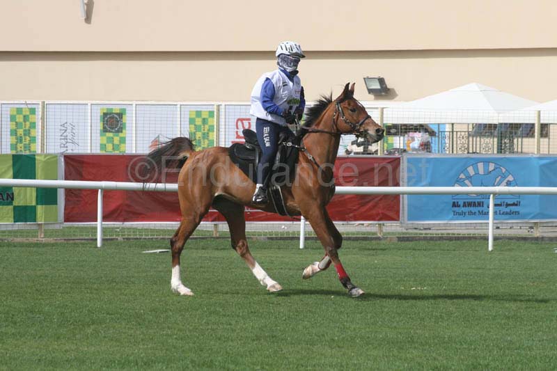 0902PCup_538