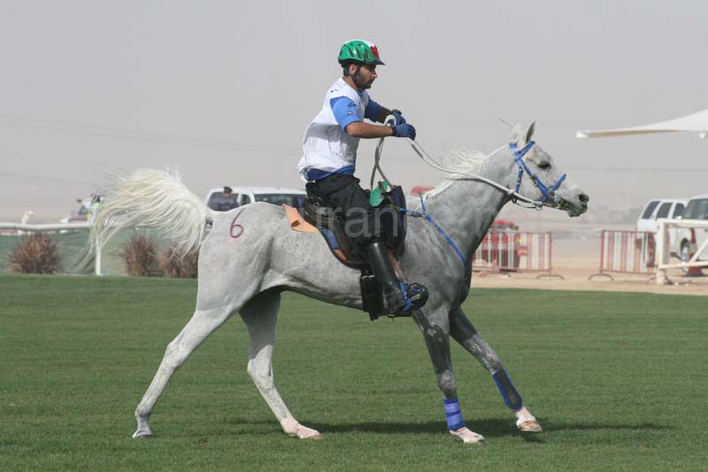 0902PCup_541