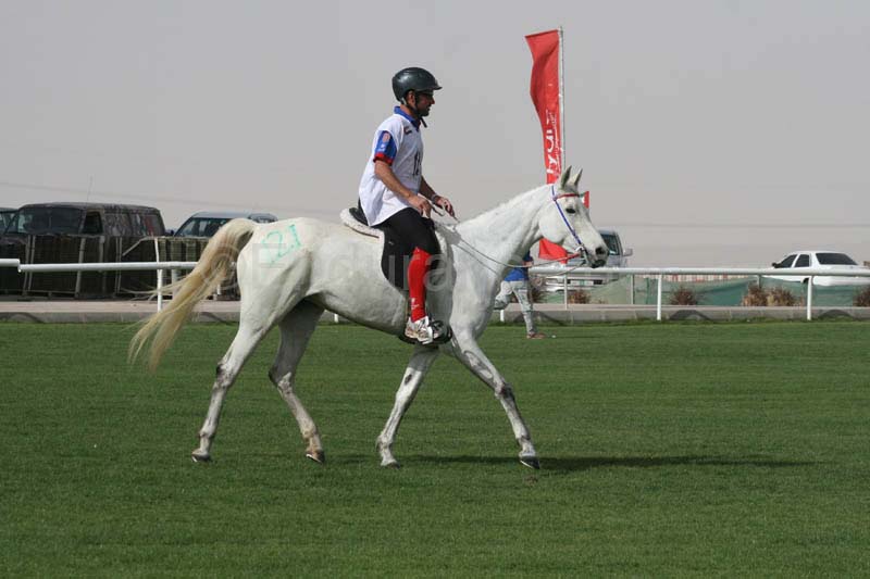 0902PCup_549