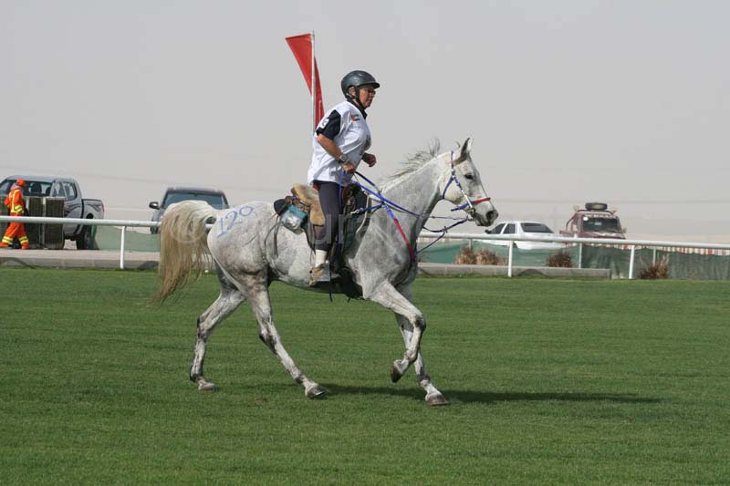 0902PCup_552