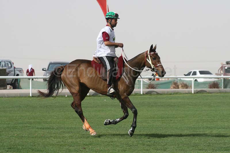 0902PCup_556