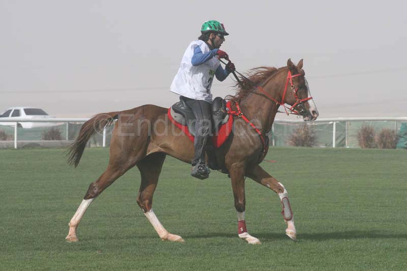 0902PCup_559