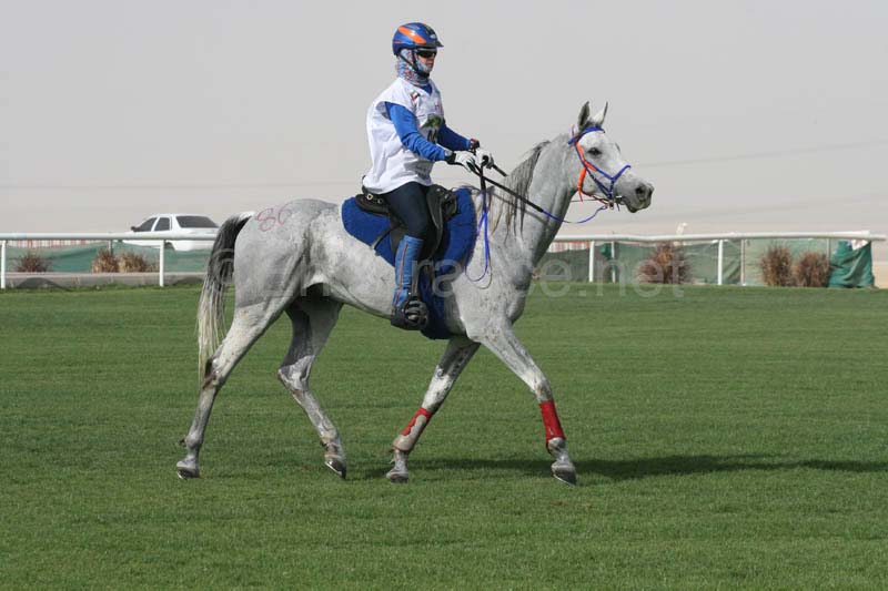 0902PCup_560