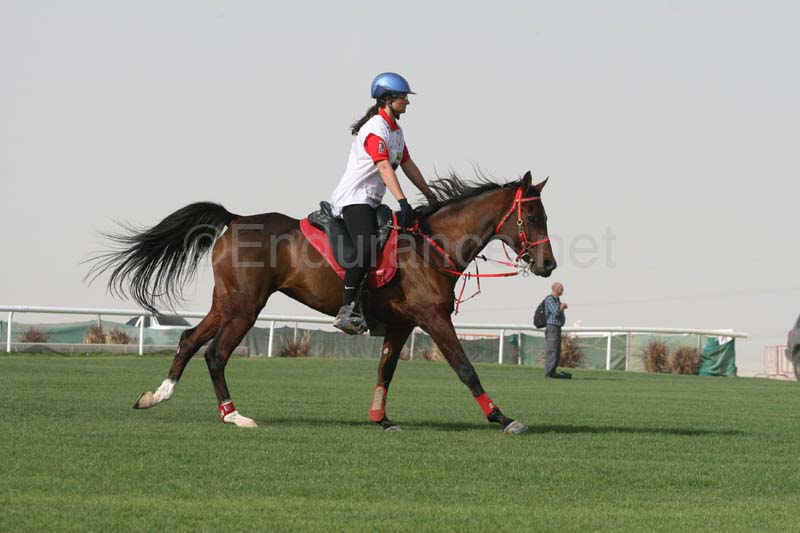0902PCup_565