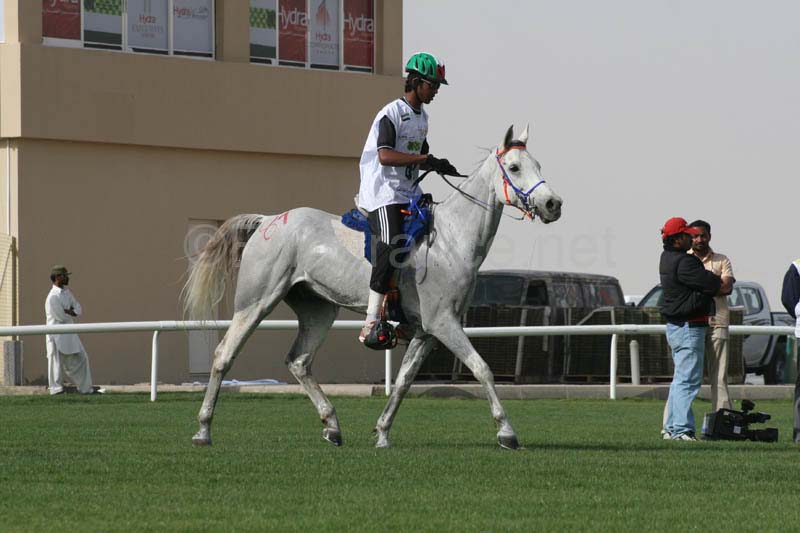 0902PCup_566