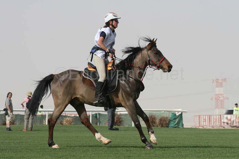 0902PCup_567