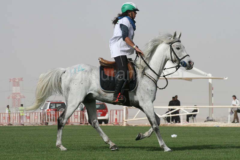 0902PCup_569