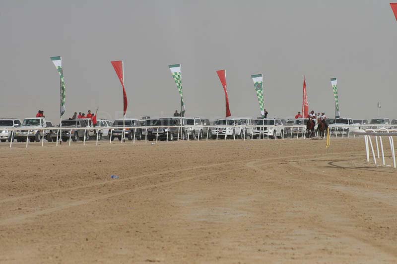 0902PCup_572