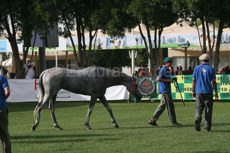 0902PCup_581