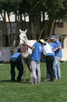 0902PCup_525